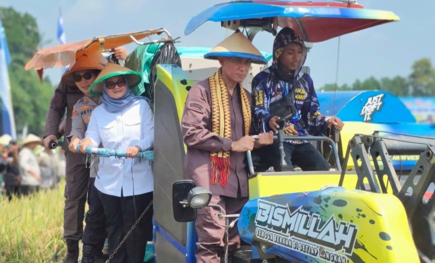 Ketahanan Pangan Nasional: Kejaksaan Tinggi Lampung Gelar Panen Raya di Desa Telogorejo