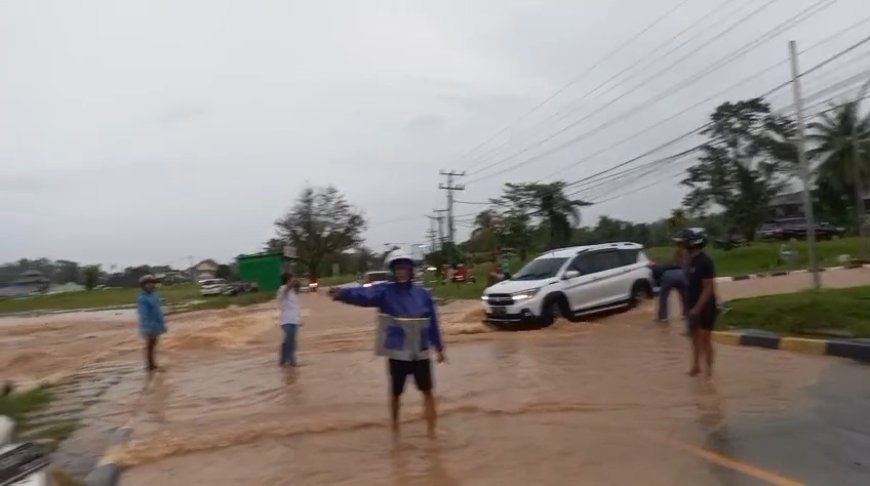 Pesisir Barat Diterjang Banjir: Kantor Pemerintah Lumpuh, Kendaraan Hanyut!