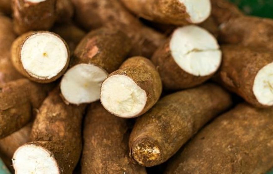 Titik Terang Harga Singkong: Pemerintah Tetapkan Harga Beli Petani Rp1.350 per Kilogram!