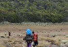 Pendakian Gunung Gede Pangrango Ditutup Total, Ada Apa Gerangan?