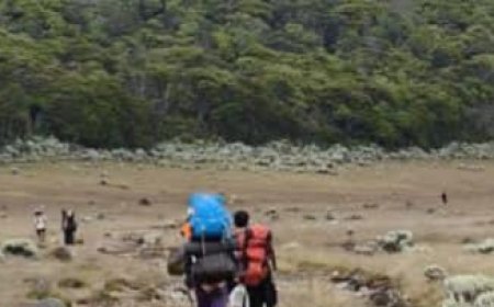 Pendakian Gunung Gede Pangrango Ditutup Total, Ada Apa Gerangan?