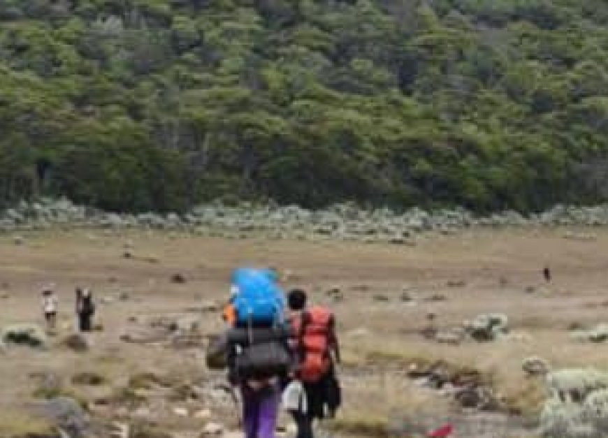 Pendakian Gunung Gede Pangrango Ditutup Total, Ada Apa Gerangan?