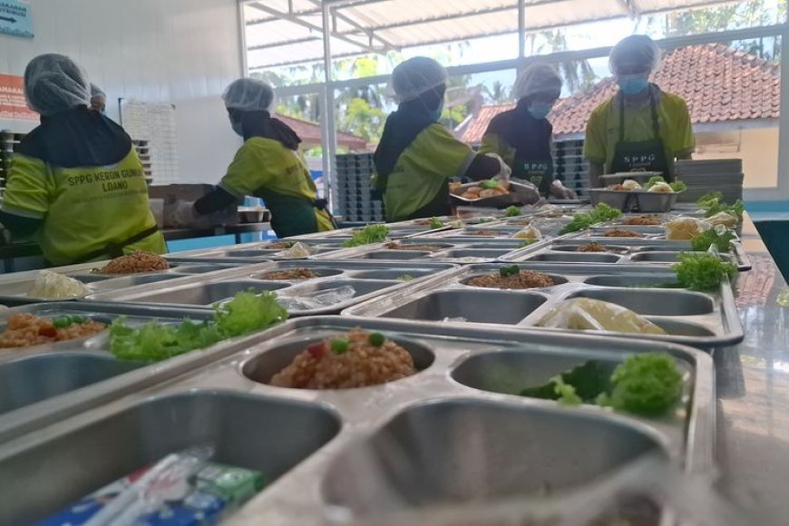 Ribuan Usulan Mitra Program Makan Bergizi Gratis Dihapus, BGN Tegaskan Komitmen Efektivitas
