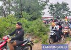 Pohon Tumbang Timpa Pengendara, Lalu Lintas Lumpuh