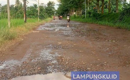 Jalan Poros Pekalongan-Batanghari Rusak Parah, Warga Meradang dan Tagih Janji Perbaikan