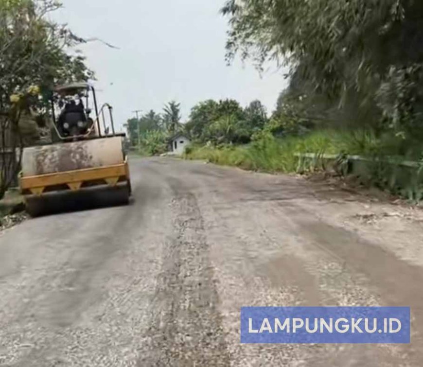 170 Miliar Digelontorkan untuk Perbaikan Jalan Daerah di Lampung, BPJN Targetkan Rampung Tahun Ini