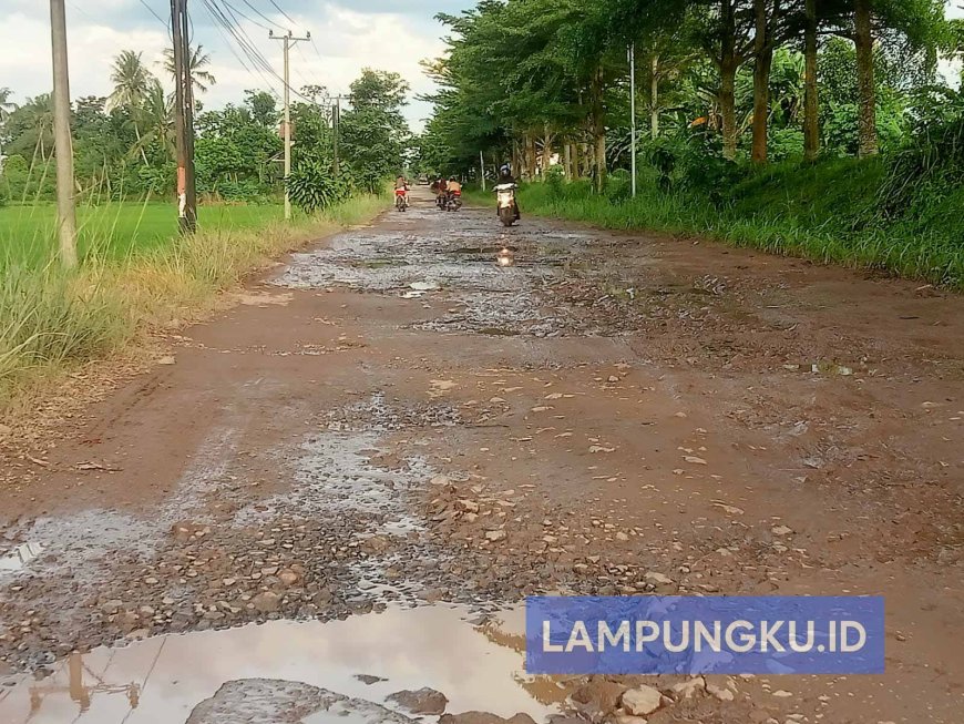 Jalan Poros Pekalongan-Batanghari Rusak Parah, Warga Meradang dan Tagih Janji Perbaikan
