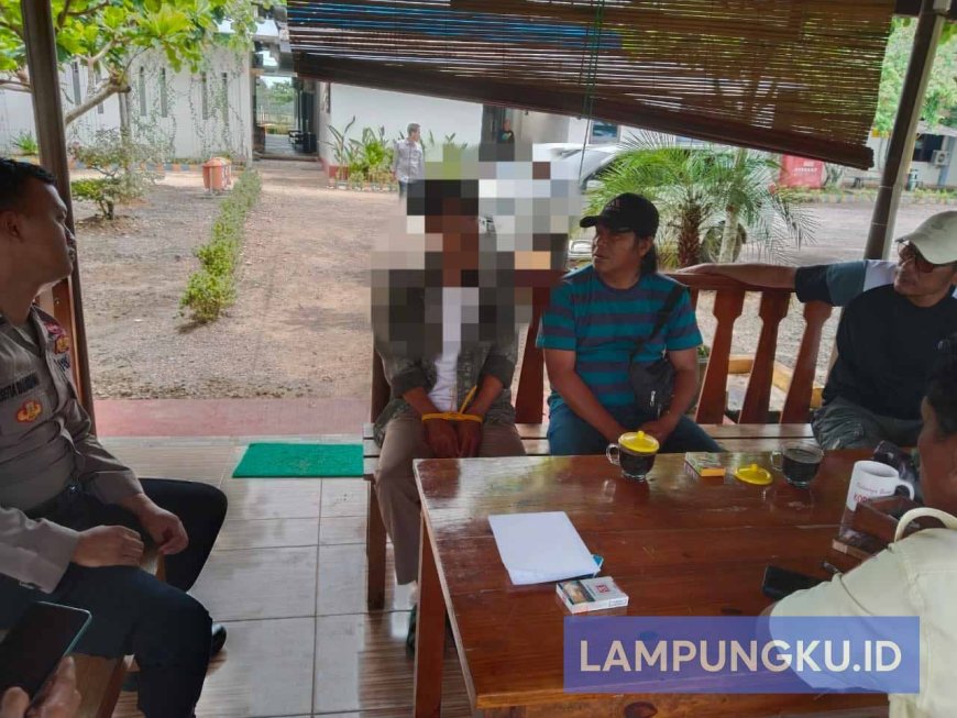 Jaringan Pencurian Bibit Nanas Terungkap, Polres Lamtim Tangkap Penadah