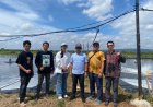 Potensi Surya Mina Lestari Lamtim: Role Model dan Pioneer Budidaya Udang hingga Ekspor