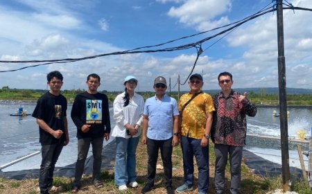 Potensi Surya Mina Lestari Lamtim: Role Model dan Pioneer Budidaya Udang hingga Ekspor