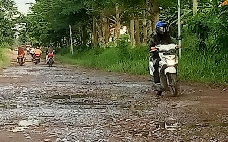 Jalan Poros Pekalongan–Batanghari Jadi Kubangan Lumpur, Warga Desak Bupati Tepati Janji