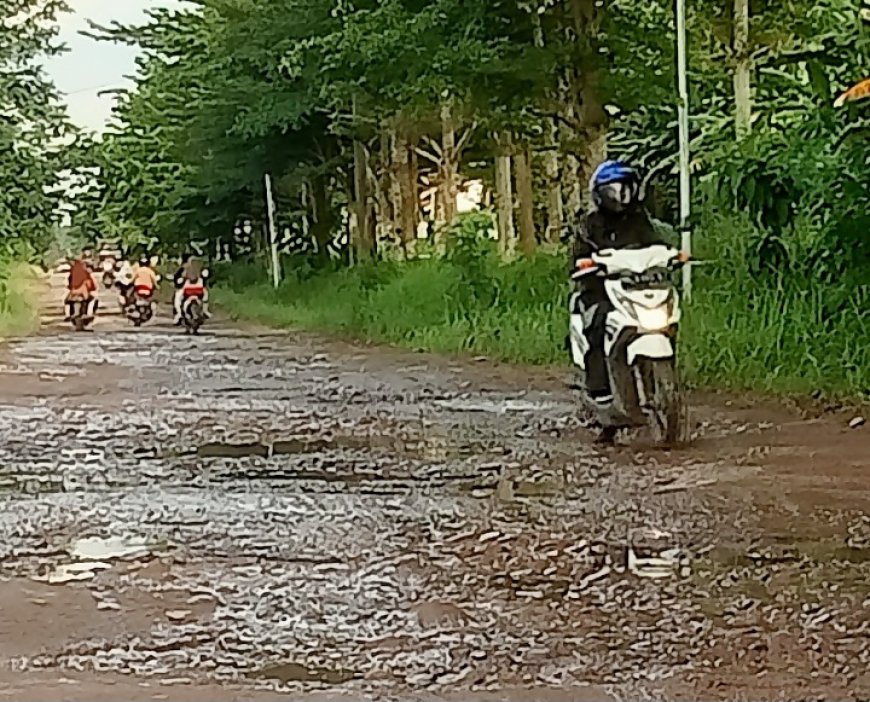 Jalan Poros Pekalongan–Batanghari Jadi Kubangan Lumpur, Warga Desak Bupati Tepati Janji