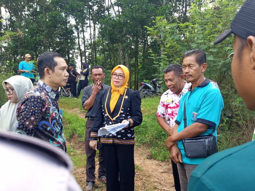 Komisi III DPRD Metro Tinjau Sawah Banjir Rejomulyo, Petani Desak Solusi Nyata