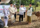 Azwar Hadi Salat Iduladha di Sukadana, Serahkan Sapi Kurban untuk Warga
