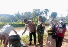 Mayat Bayi Laki-laki Ditemukan Membusuk di Irigasi Trimurjo, Diduga Sengaja Dibuang