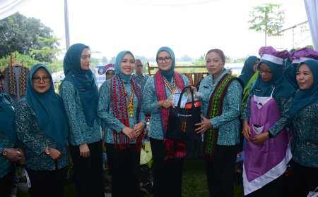 TP PKK Pusat Dorong Pemberdayaan Lansia dan UP2K di Lampung