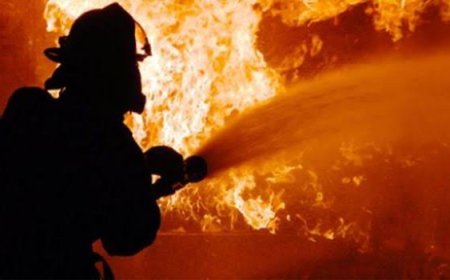 Kebakaran Melanda Kampus Binus Anggrek, Asap Tebal Selimuti Area Kampus