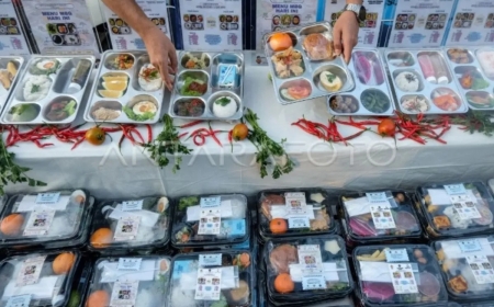 Lebih dari Setengah Dapur Program Makan Bergizi Gratis Kantongi Sertifikat Higiene Sanitasi