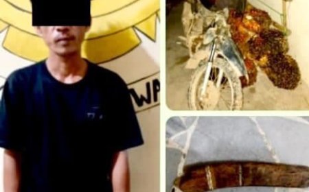 Curi 14 Tandan Sawit di GMP, Pria 45 Tahun Dibekuk Polisi Dini Hari