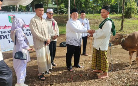 Azwar Hadi Salat Iduladha di Sukadana, Serahkan Sapi Kurban untuk Warga