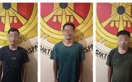 Tiga Pencuri Sawit Tertangkap Tangan di Kebun PT GMP, Polisi Amankan Barang Bukti