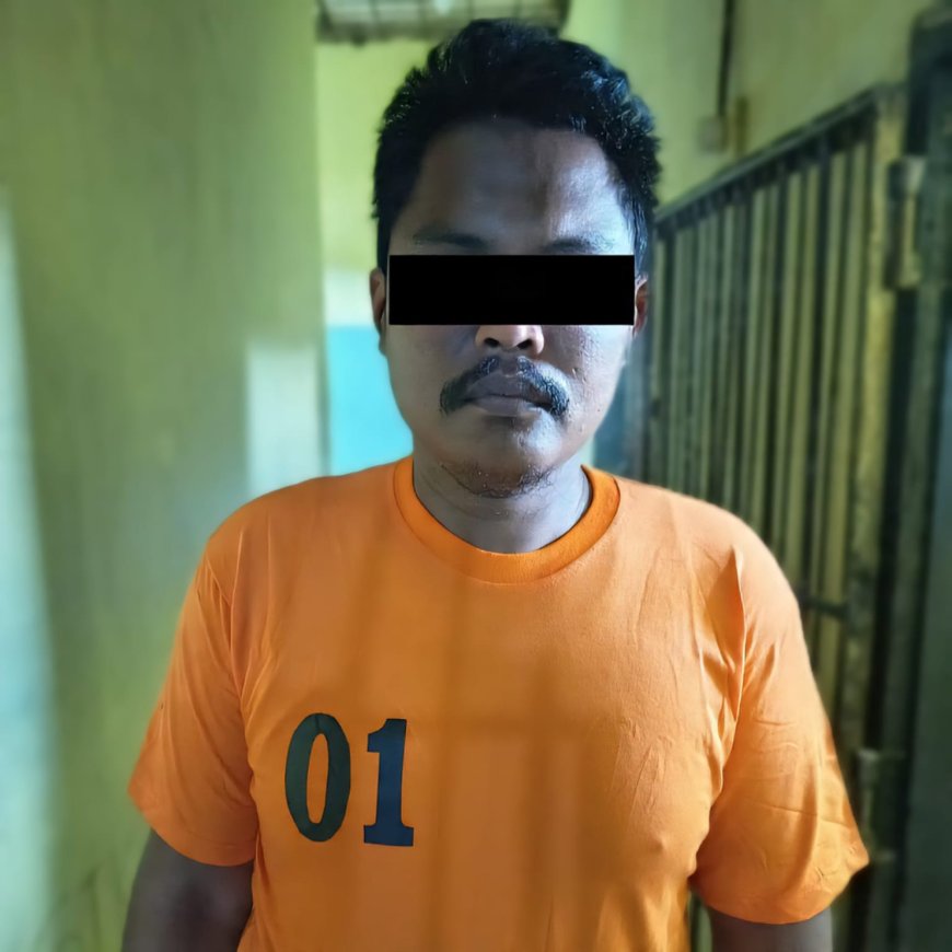 Residivis Curanmor Ditangkap Saat Gasak 210 Kg Sawit di PT GMP Lampung Tengah