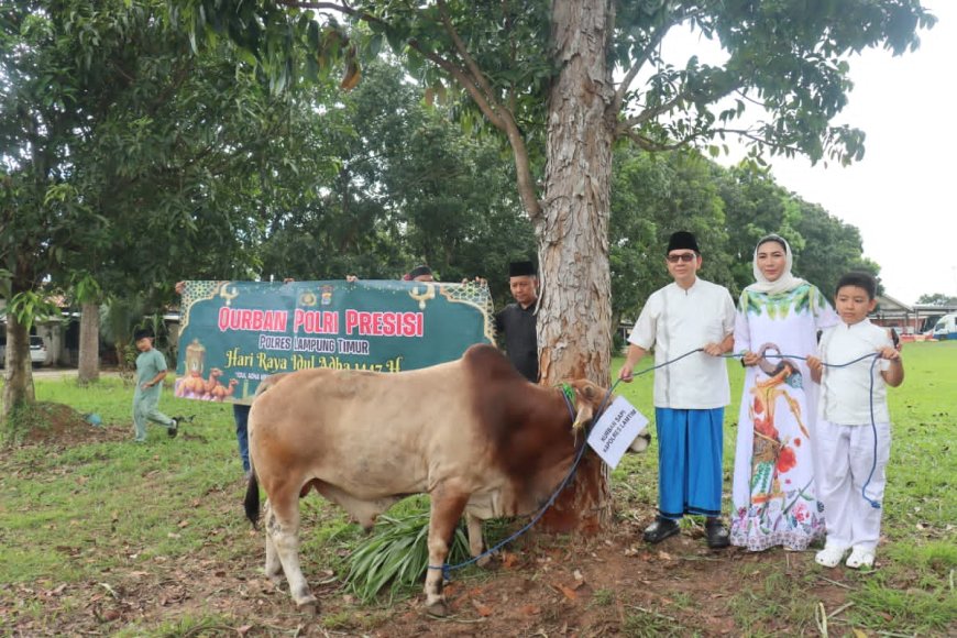Polres Lampung Timur Sembelih 7 Sapi dan 4 Kambing Kurban, Daging Dibagikan untuk Warga Kurang Mampu