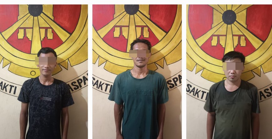 Tiga Pencuri Sawit Tertangkap Tangan di Kebun PT GMP, Polisi Amankan Barang Bukti