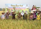 Kejaksaan dan Pemkab Lampung Timur Sukses Gelar Panen Raya Padi