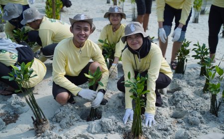 PHI Tanam 1.500 Mangrove dan Lamun di Pulau Pari, Perkuat Benteng Pesisir dari Ancaman Perubahan Iklim