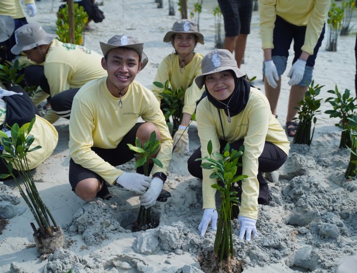 PHI Tanam 1.500 Mangrove dan Lamun di Pulau Pari, Perkuat Benteng Pesisir dari Ancaman Perubahan Iklim