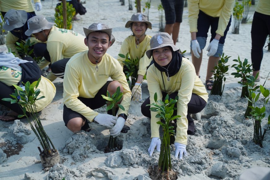PHI Tanam 1.500 Mangrove dan Lamun di Pulau Pari, Perkuat Benteng Pesisir dari Ancaman Perubahan Iklim