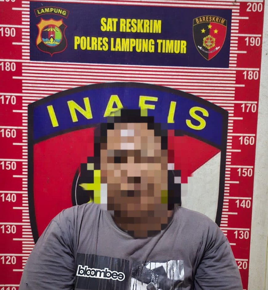 Gelapkan Uang Tagihan Rp52 Juta, Pria di Labuhan Maringgai Diciduk Tekab 308