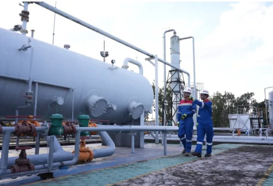 Pertamina EP Hidupkan "Raksasa Tidur" di Jambi Melalui Monetisasi Gas Lapangan Sengeti