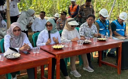 Bupati Ela Siti Nuryamah Pastikan Program Listrik Masuk Sawah Tingkatkan Kesejahteraan Petani Lampung Timur