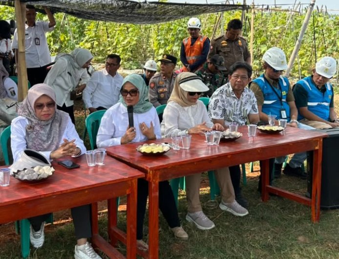 Bupati Ela Siti Nuryamah Pastikan Program Listrik Masuk Sawah Tingkatkan Kesejahteraan Petani Lampung Timur