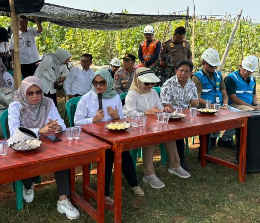 Bupati Ela Siti Nuryamah Pastikan Program Listrik Masuk Sawah Tingkatkan Kesejahteraan Petani Lampung Timur