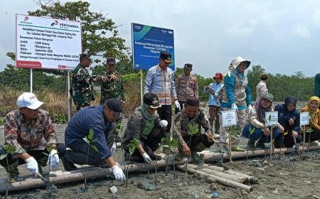 Perkuat Ekosistem Pesisir, Bupati Lampung Timur Resmikan Demplot Mangrove di Muara Gading Mas