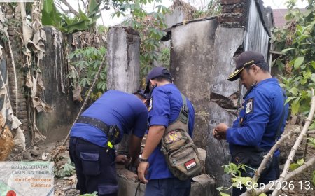 Bukan Hanya Padamkan Api, Damkar Lampung Timur Juga Sigap Selamatkan Kucing