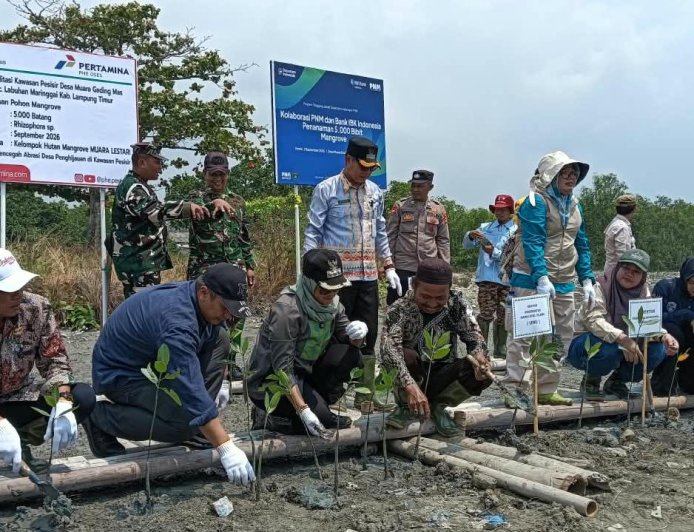 Perkuat Ekosistem Pesisir, Bupati Lampung Timur Resmikan Demplot Mangrove di Muara Gading Mas