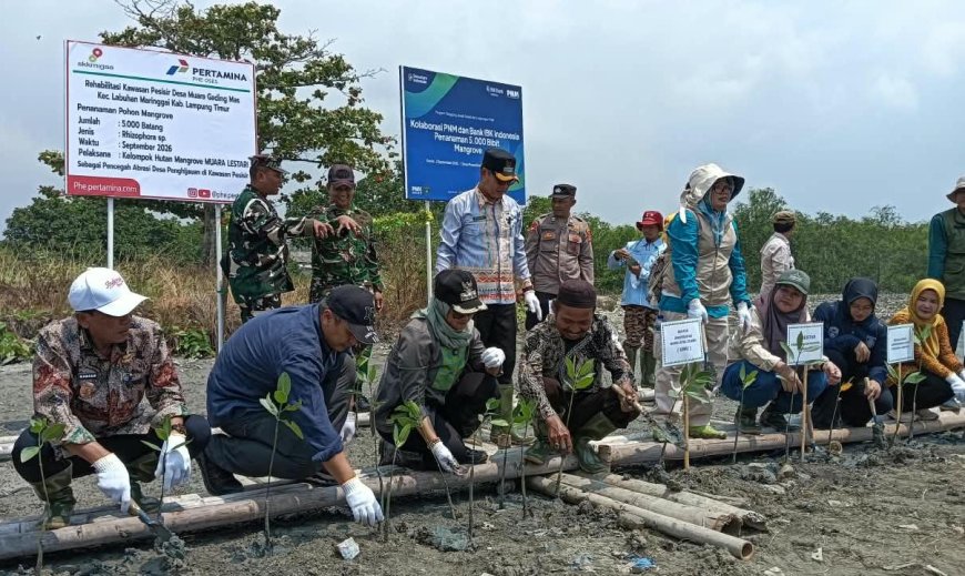 Perkuat Ekosistem Pesisir, Bupati Lampung Timur Resmikan Demplot Mangrove di Muara Gading Mas