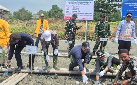 PHE OSES dan Pemkab Lampung Timur Kolaborasi Hidupkan Benteng Alami Pesisir Melalui Konservasi Mangrove