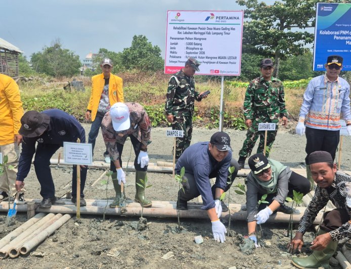 PHE OSES dan Pemkab Lampung Timur Kolaborasi Hidupkan Benteng Alami Pesisir Melalui Konservasi Mangrove