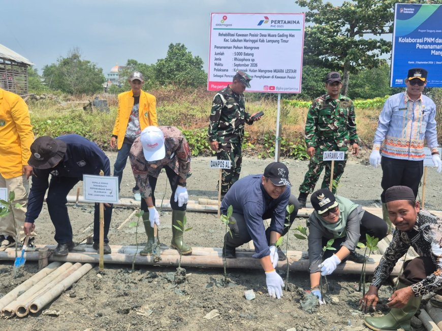 PHE OSES dan Pemkab Lampung Timur Kolaborasi Hidupkan Benteng Alami Pesisir Melalui Konservasi Mangrove