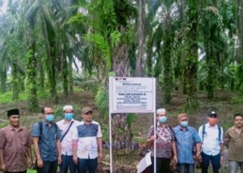 Keterangan Foto: Penyitaan Kebun Sawit Nurhadi, Sekertaris MA Bulan September 2020 disaksikan PPAT,Perangkat Desa, Pengelola Sawit