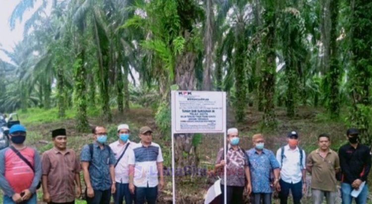 Keterangan Foto: Penyitaan Kebun Sawit Nurhadi, Sekertaris MA Bulan September 2020 disaksikan PPAT,Perangkat Desa, Pengelola Sawit