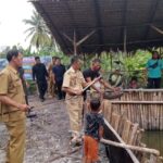 IMG-20250203-WA0026