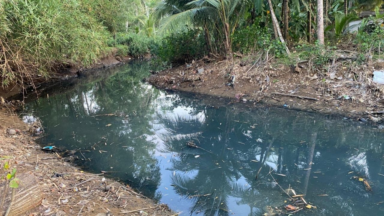 Pipa-buangan-air-limbah-tambak-udang-di-sungai-munjungan