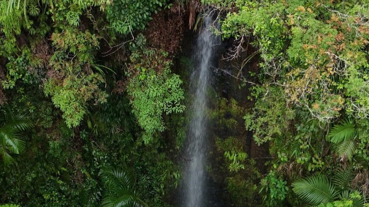 air-terjun-curug-petuk-di-jalur-pendakian-gunung-sengunglung.jpeg