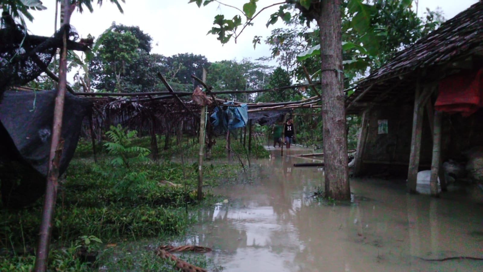 Empat Hari Terendam, Genangan Banjir di Kedunglurah Tak Kunjung Surut